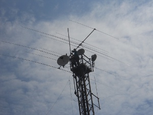 06.JPG